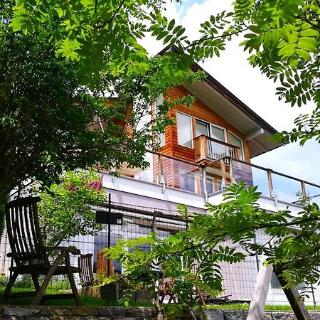 Ferienwohnung Hoellwart - Exclusiv, Ruhige Lage, Panoramablick Bischofshofen Bagian luar foto