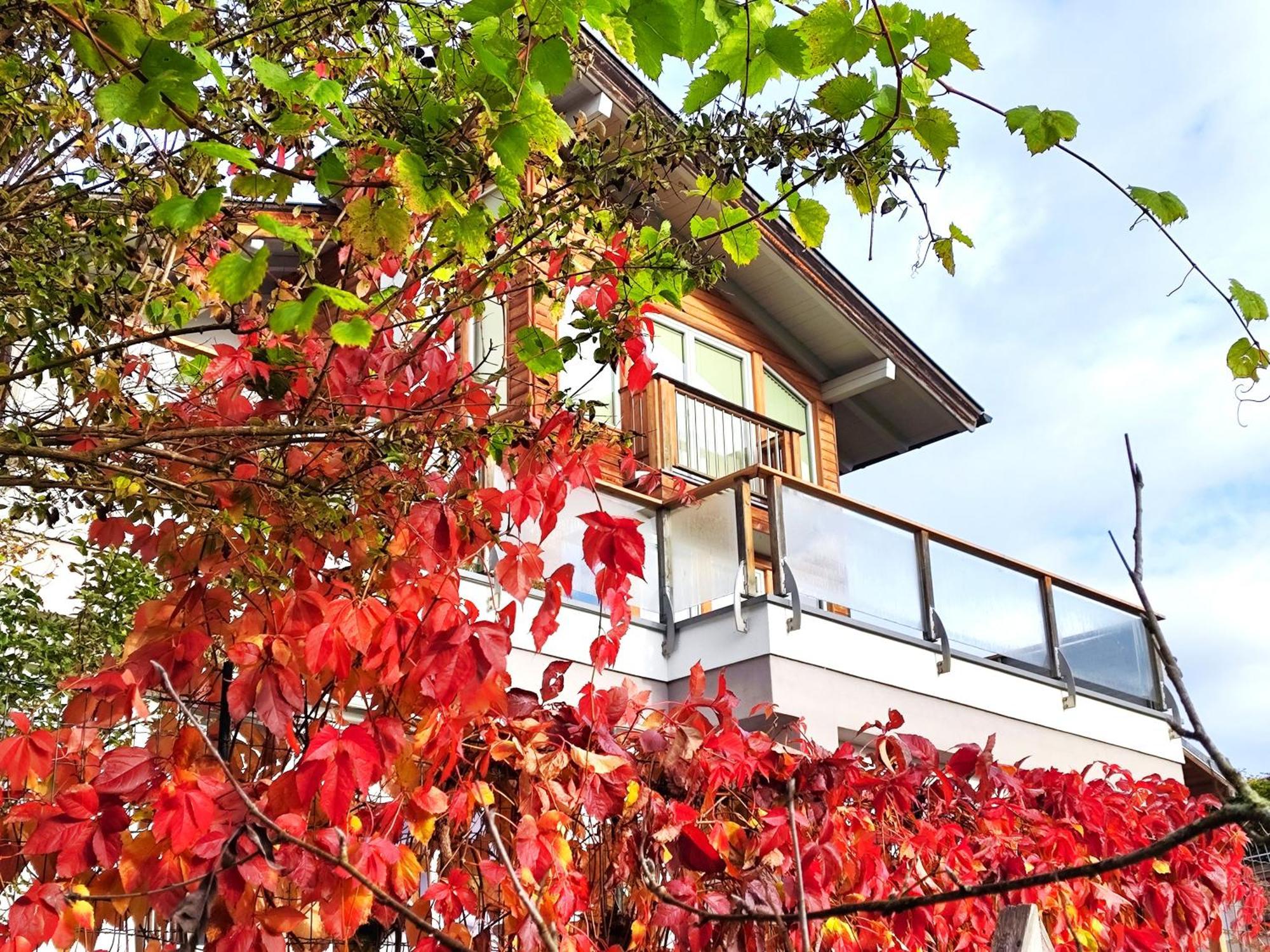 Ferienwohnung Hoellwart - Exclusiv, Ruhige Lage, Panoramablick Bischofshofen Bagian luar foto